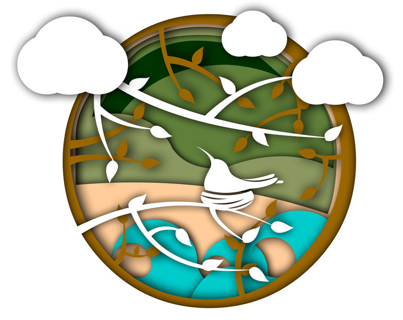 Cabo Surf Eco Friendly